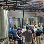 Tour guiado en la bodega de Besoain Wines aprendiendo sobre el proceso de producción antes de la degustación de vinos premium.