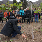 Turistas disfrutando de un tour interactivo por los viñedos de Besoain Wines y una exclusiva degustación de vinos premium.