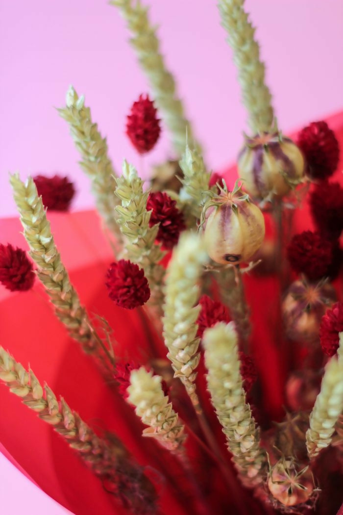 mix rojo 2