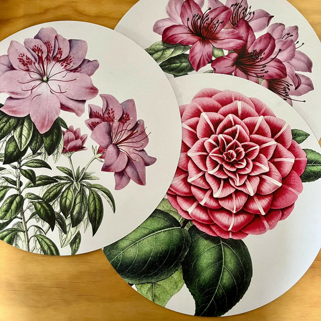 image_bf0d26f0-d5bc-4374-b86b-3c56ccb4cab0_1512x