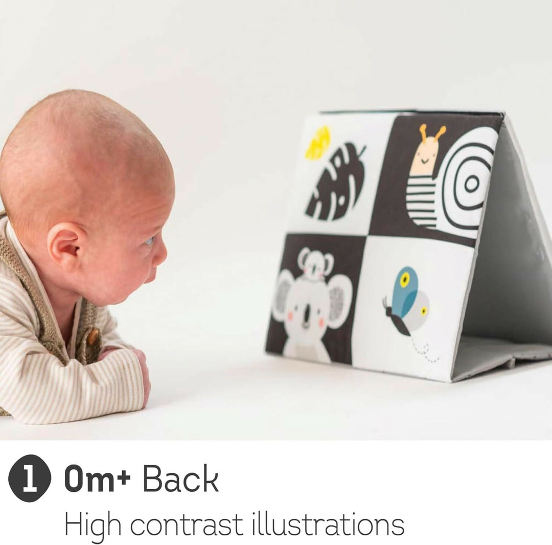 Espejo Blanco- Negro y a Color