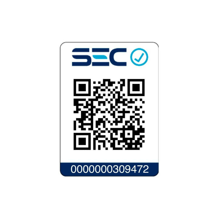 Secador de Pelo SG-3025S Plateado Siegen