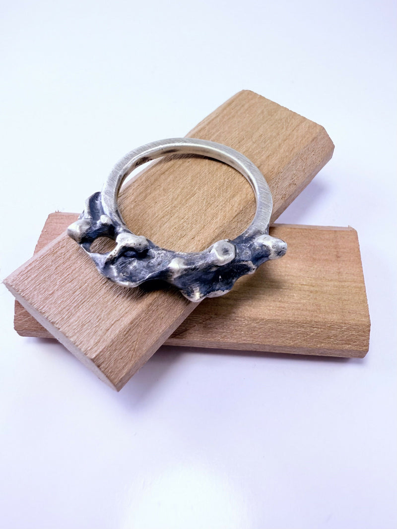 Anillo estilo cintillo, Raíz vibrante