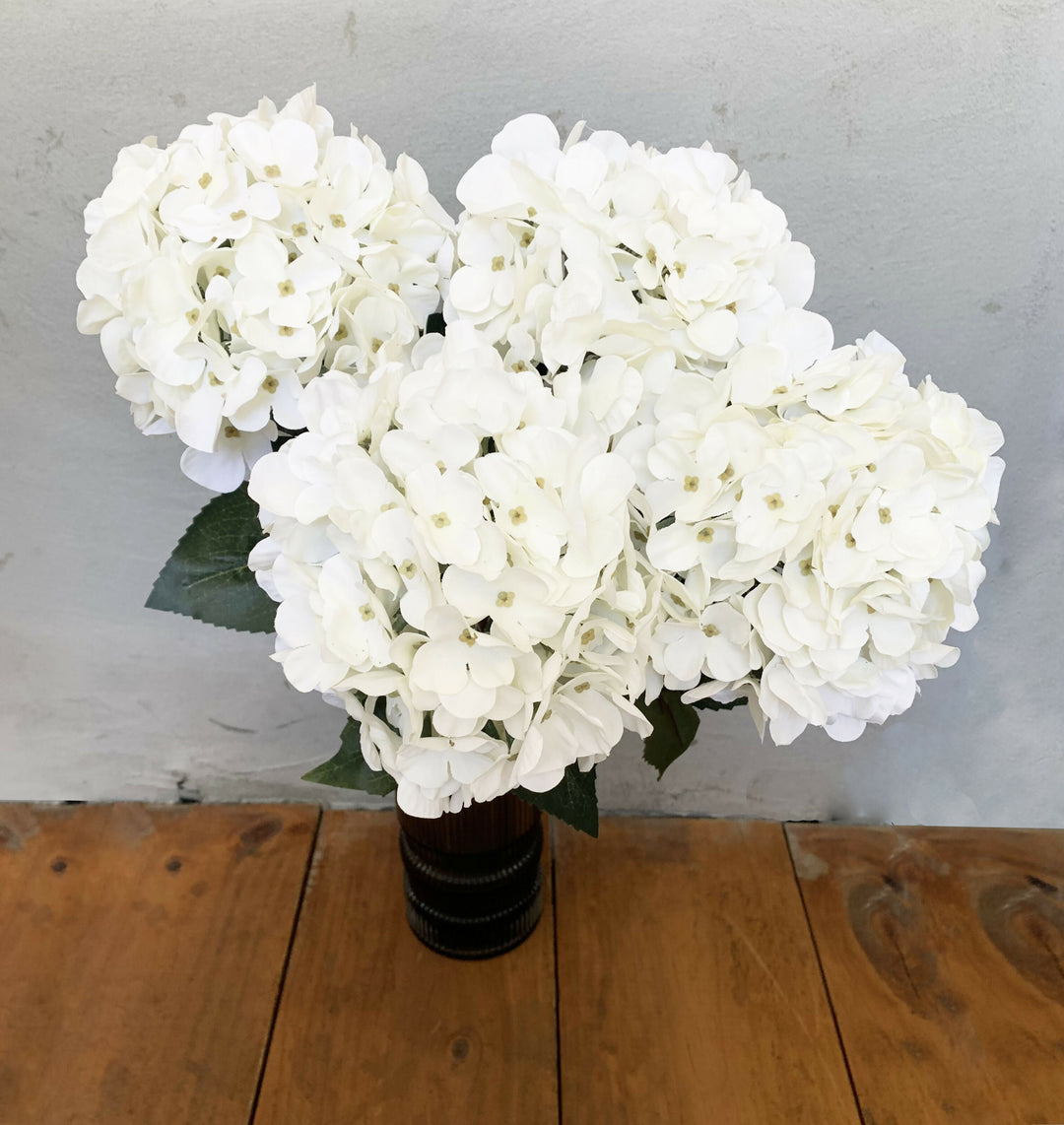 HORTENSIA BLANCA LARGA