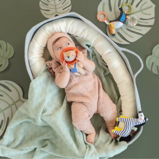 Mordedor Harry el León