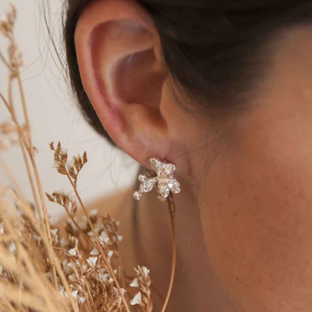 Aros-plata-haimei-maialen