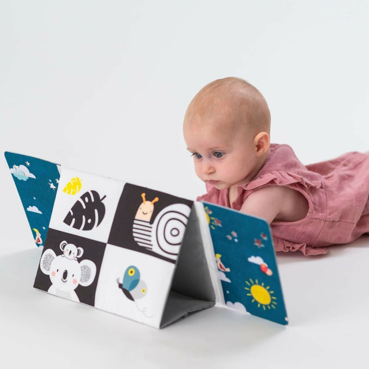 Espejo Blanco- Negro y a Color