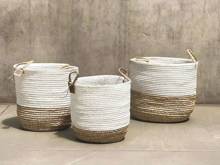 CanastosFranja25OLD1