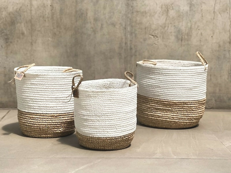 CanastosFranja25OLD1