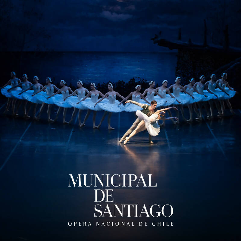 Entrada Ballet El lago de los cisnes. 19 Enero. T. Municipal