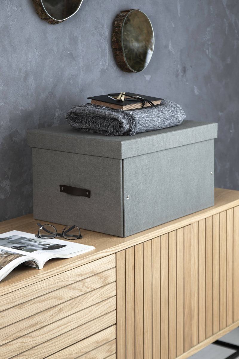Caja Organizadora BIGSO 38 x 51 cm