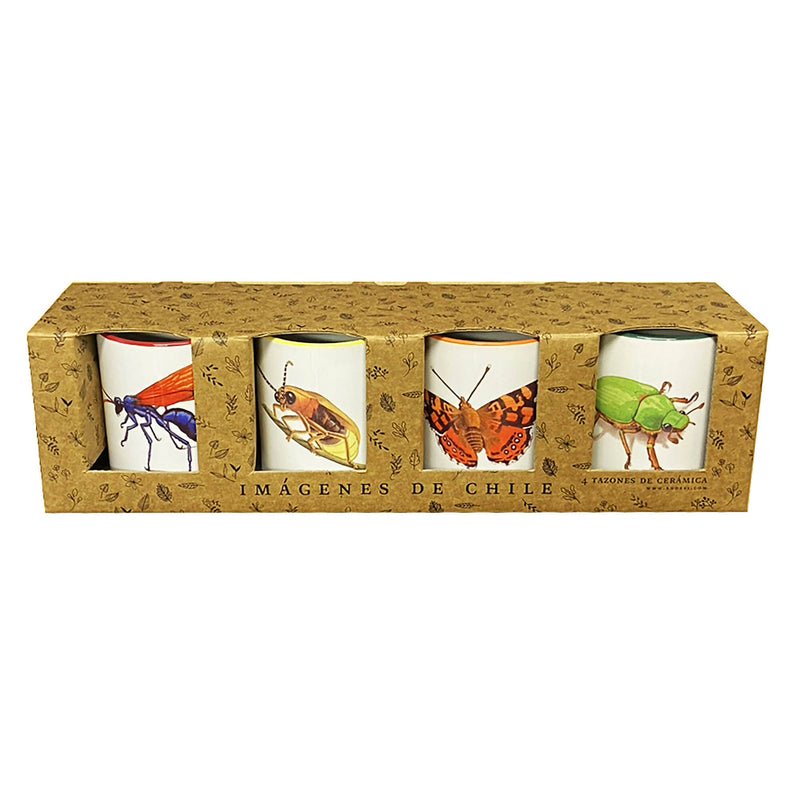 Set de 4 tazones insectos de Chile n2