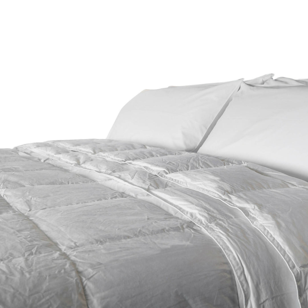 Plumón pluma de ganso, toda estación