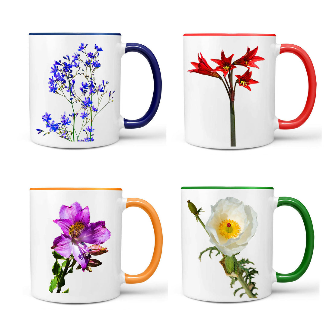 Set de 4 tazones flores del desierto de Atacama n1