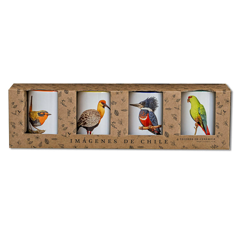 Set de 4 tazones pájaros de Chile n2