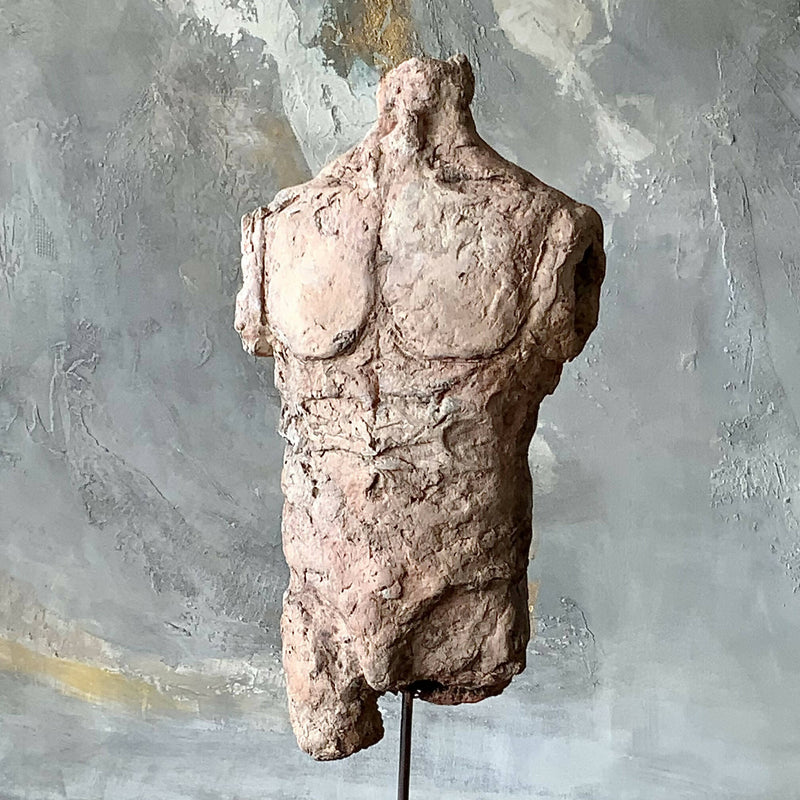 Torso Masculino