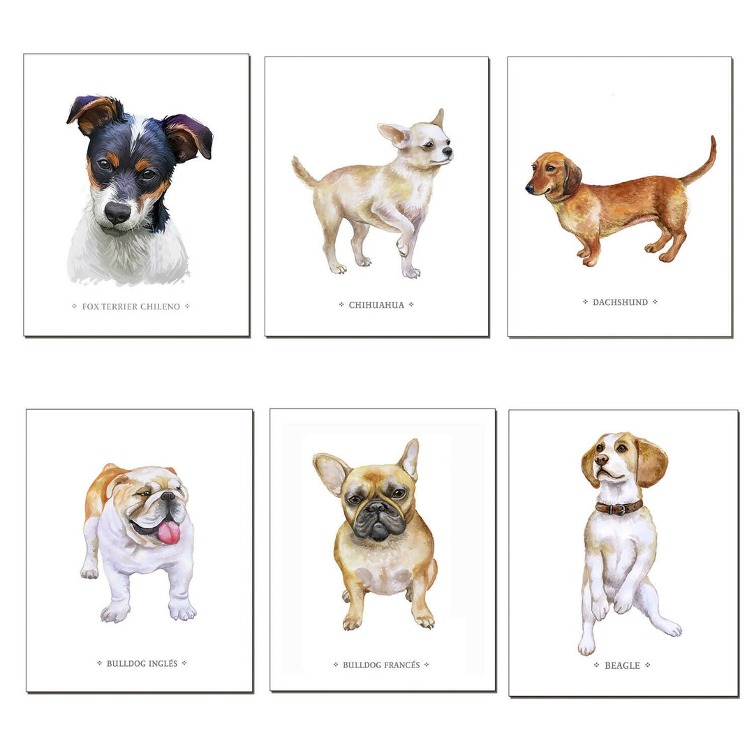 Pack de 6 láminas para enmarcar de Perros típicos chilenos diseño 2