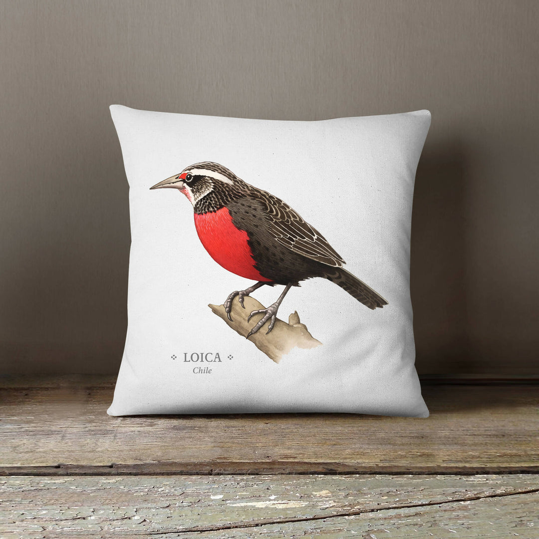Funda de Cojín Loica
