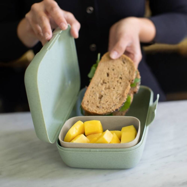 lonchera harry - koziol (2) - copia