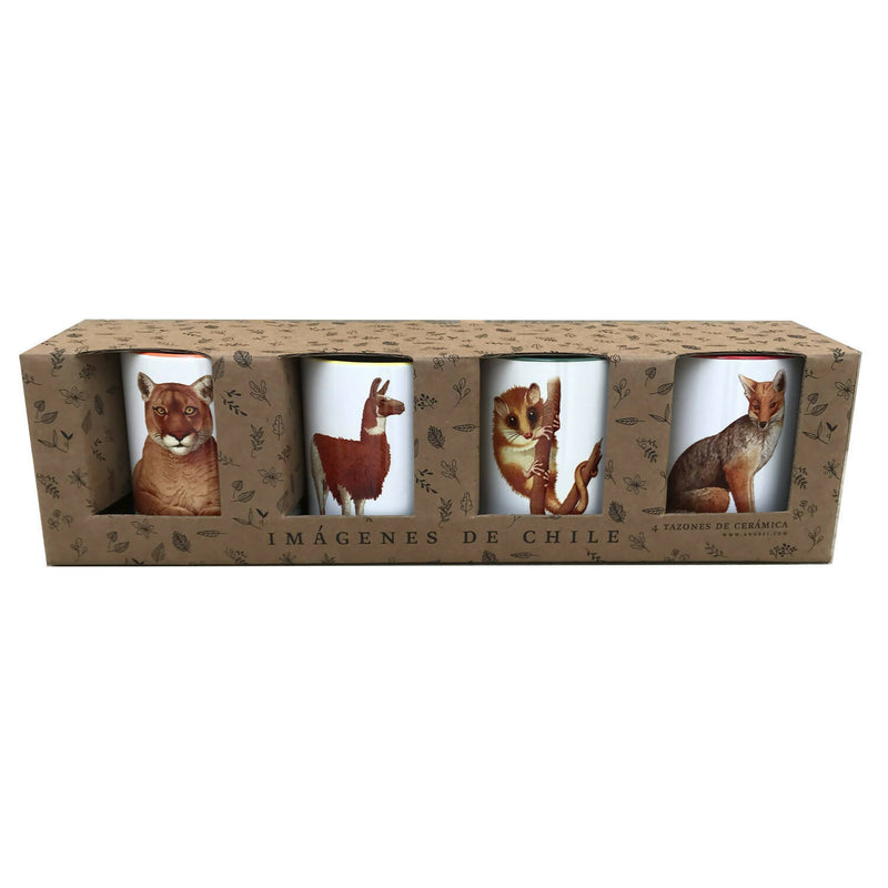 Set de 4 tazones Fauna Chilena n1