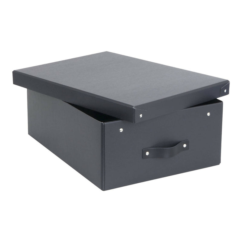 Caja Organizadora 32 x 44 cm BIGSO