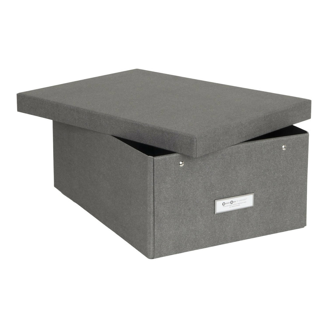 Caja Organizadora BIGSO 28,5 x 39 cm