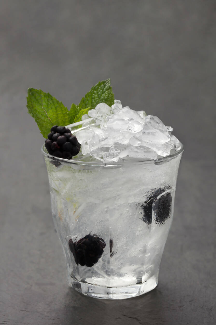 Cubetera Hielo Triturado con Tapa Crushed Ice Tray W&P