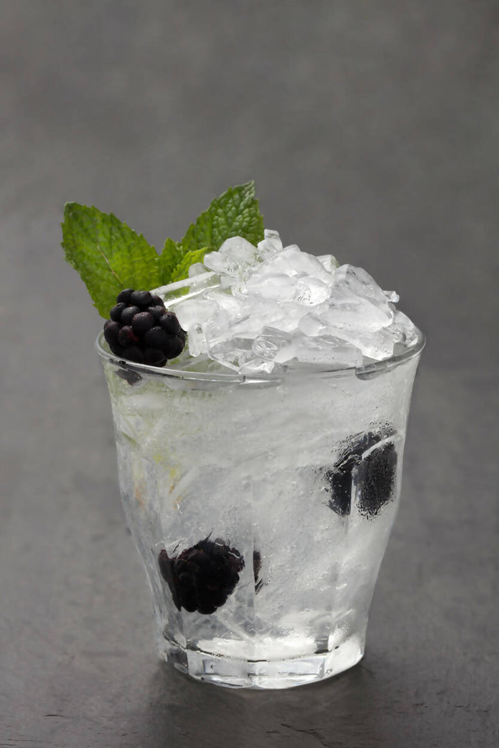 Cubetera Hielo Triturado con Tapa Crushed Ice Tray W&P