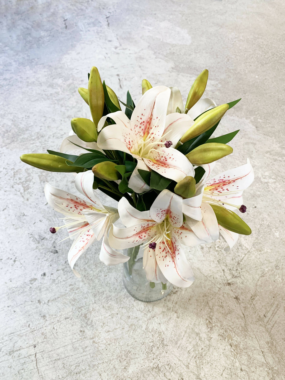 LILIUM JASPEADO CORTO