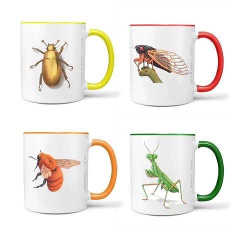 Set de 4 tazones Insectos de Chile n3