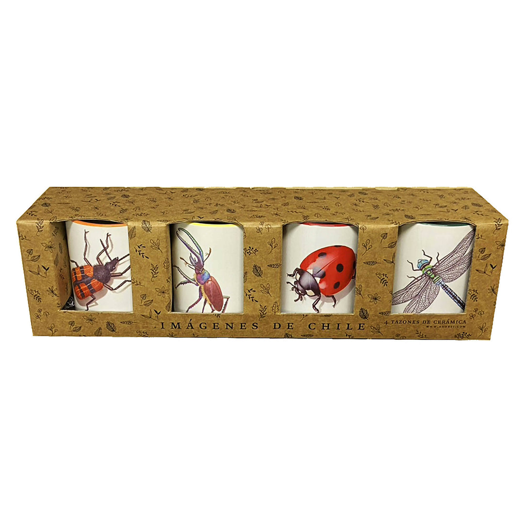 Set de 4 tazones Insectos de Chile n1