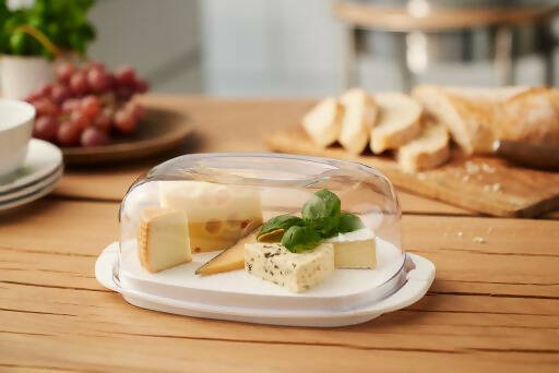 Contenedor Plástico para Queso Fresh Rotho