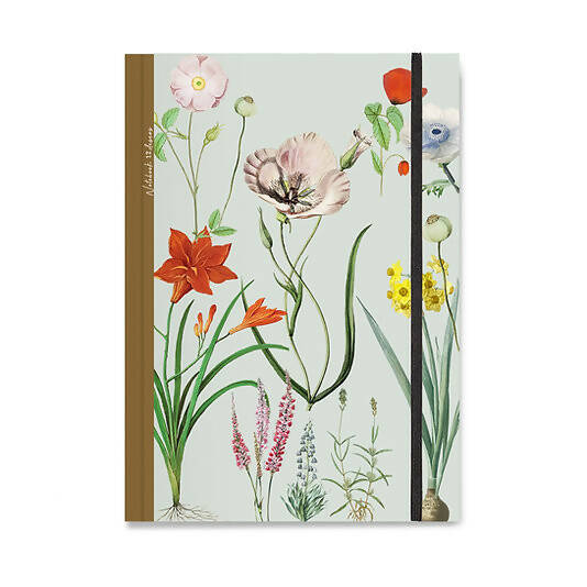 Cuaderno Botánica