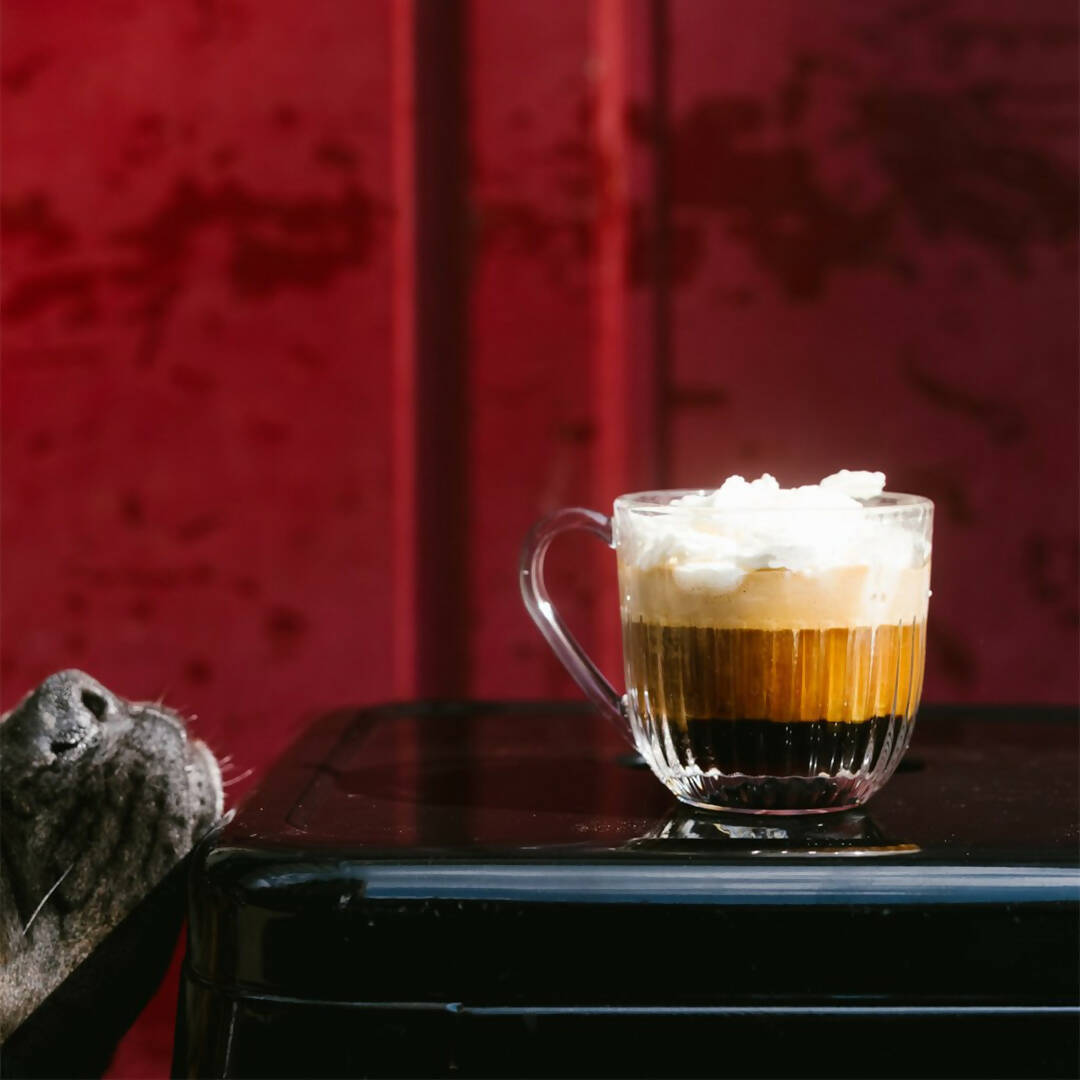 SET 6 TAZAS OUESSANT 270ml