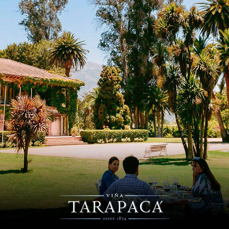 Gran Reserva Tarapacá: tour, degustación y almuerzo