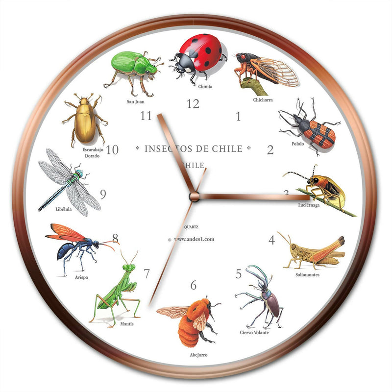 Reloj de Insectos de Chile