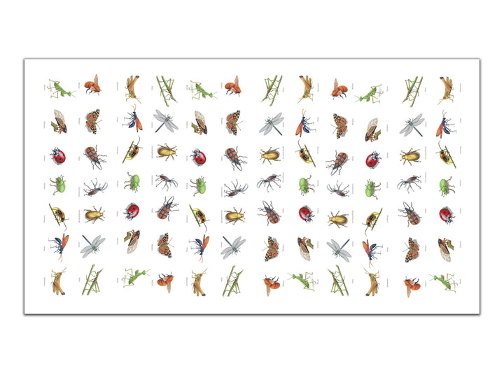 Mantel antimanchas Insectos de Chile