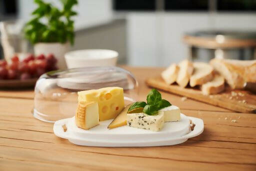 Contenedor Plástico para Queso Fresh Rotho