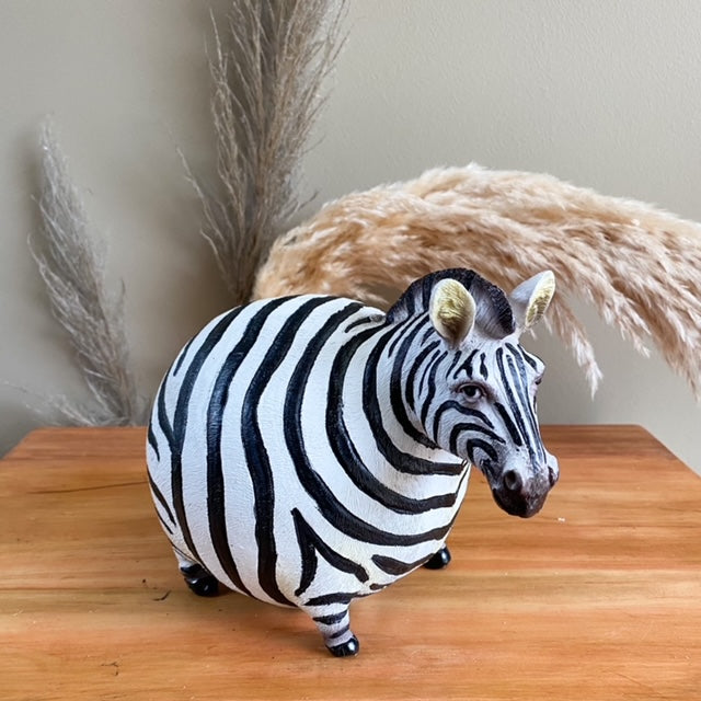 Cebra Gorda Decorativa