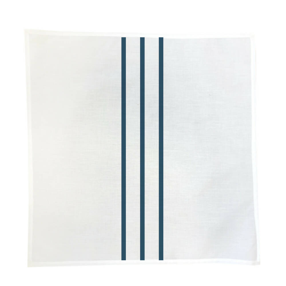 Set 4 Servilletas Bahía Azul - Velo Organza