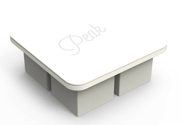 Cubetera 4 Hielos con Tapa Extra Large Ice W&P